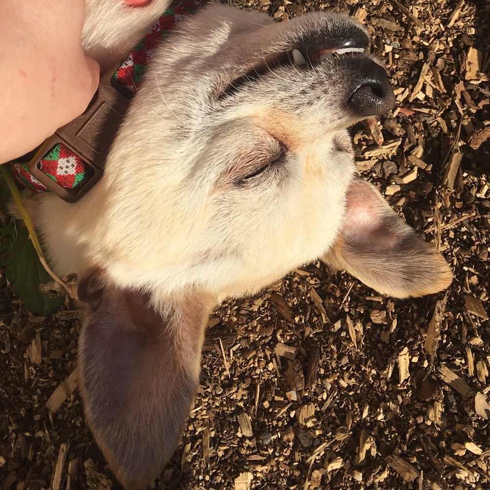 Meet your Posher, Rhylee